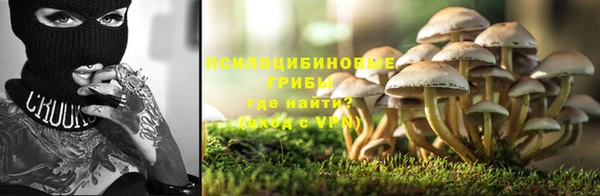 apvp Медногорск
