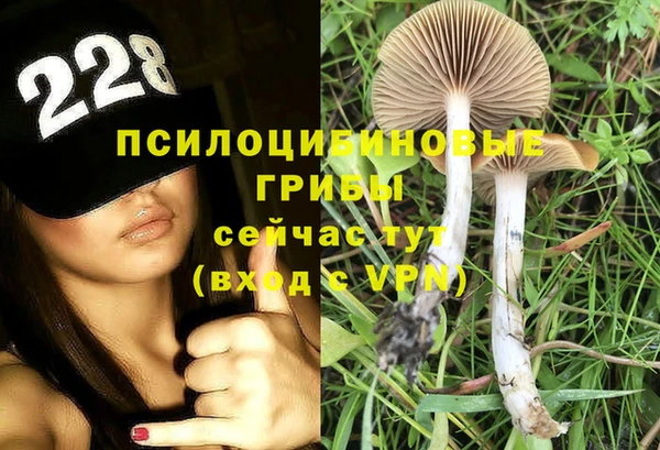 apvp Медногорск