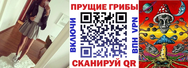 Псилоцибиновые грибы Psilocybine cubensis  Егорьевск 