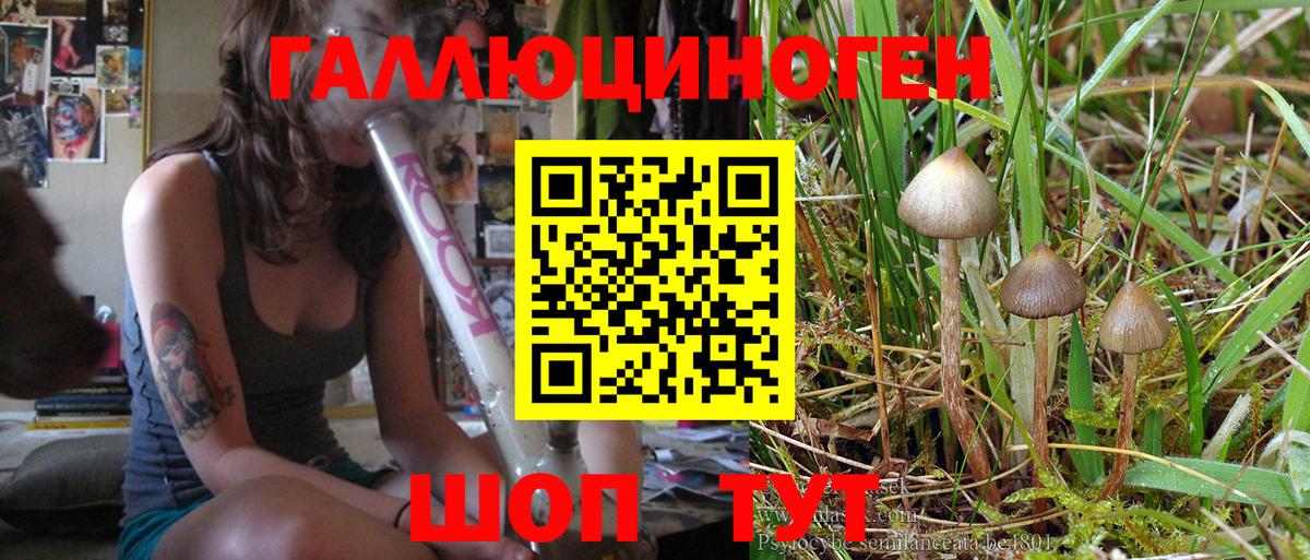 купить наркоту  Псилоцибиновые грибы MAGIC MUSHROOMS  Псилоцибиновые грибы MAGIC MUSHROOMS  Вход с VPN  Егорьевск 