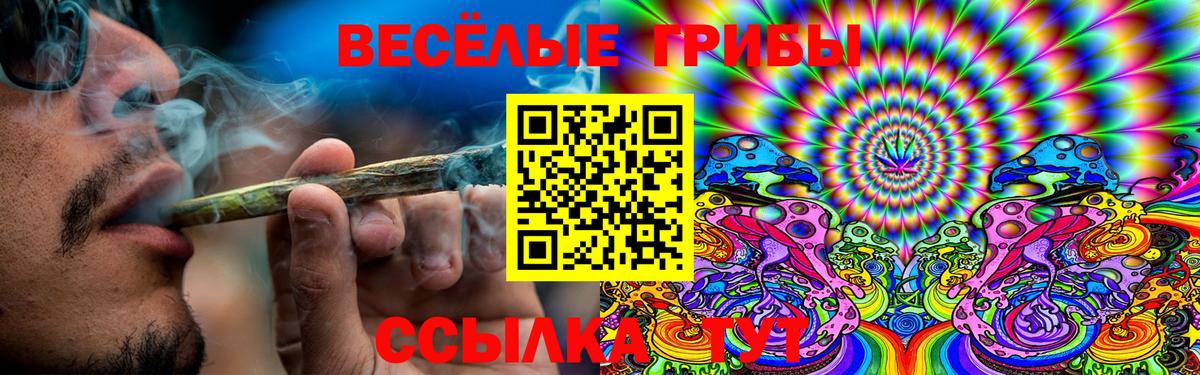 Псилоцибиновые грибы мицелий Егорьевск