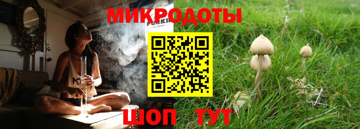 Галлюциногенные грибы мицелий Егорьевск