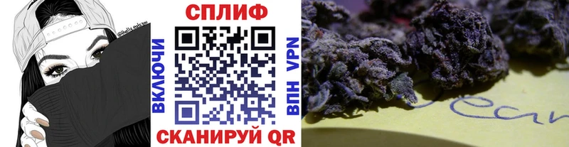 где найти   Егорьевск  Бошки марихуана VHQ 